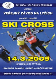 Skicross