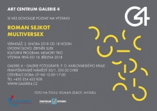 Roman Sejkot - Multiversex