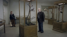Holub seděl na větvi a přemýšlel o životě – Švédsko, Norsko, Dánsko, Francie, Německo, 2014, 101 min - Filmový klub