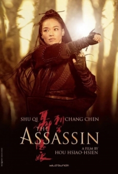 Assassin – Čína, 105 min., akční/drama, titulky.