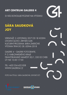 Sára Saudková - Joy