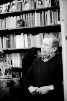 Václav Havel: Vernisáž, divadelní představeni