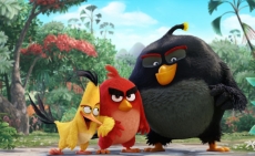 Angry Birds ve filmu – USA, 98 min., animovaný, dabing