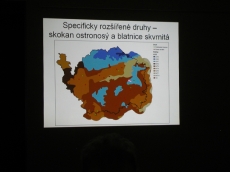 Plazi a obojživelníci Karlovarského kraje