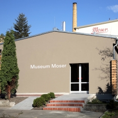 Muzeum Muzeum Moser